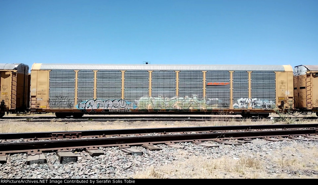 BNSF 25804 TTGX 967004